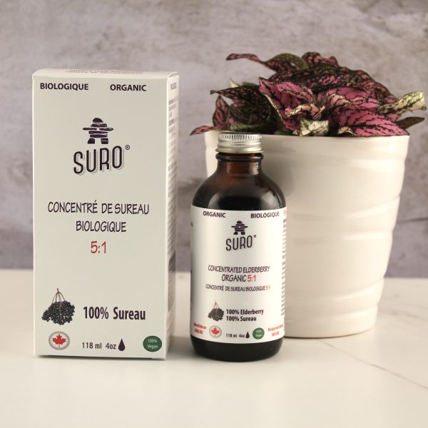 Organic Elderberry - Concentrate 5:1 - Image 2