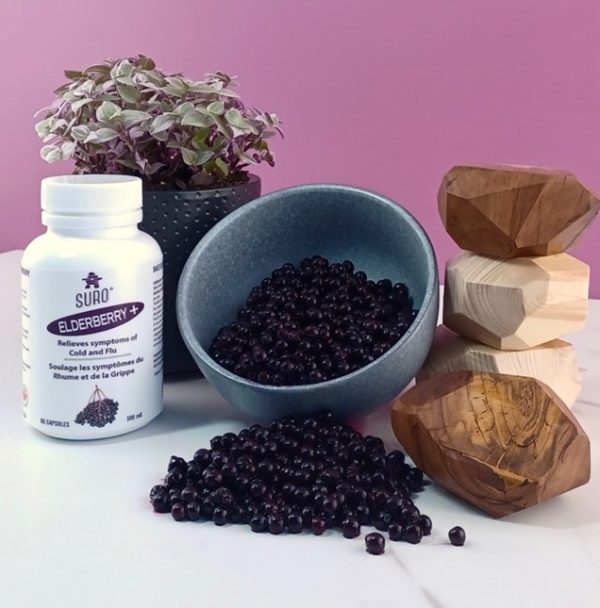 Organic Elderberry - capsules - Image 2