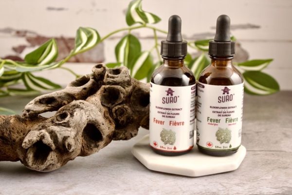 Fleurs de sureau biologique  - extrait SURO® – Image 2