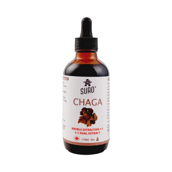 Chaga canadien - extrait – Image 3